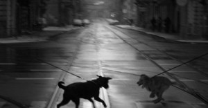 fot. Jola i Franciszek Kluczyńscy - Oblicza wolności