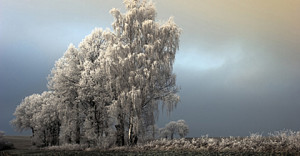fot. Jacek Niewczas