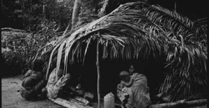 Marek Lalko - Taman Negara