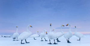 fot. Stefano Unterthiner, Italy, for National Geographic magazine