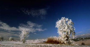 Fotoplener Maniowy 2011