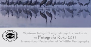 wizje natury 2011
