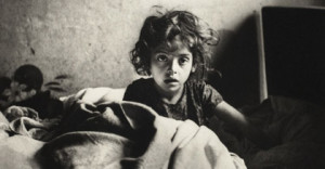 vishniac pressimage