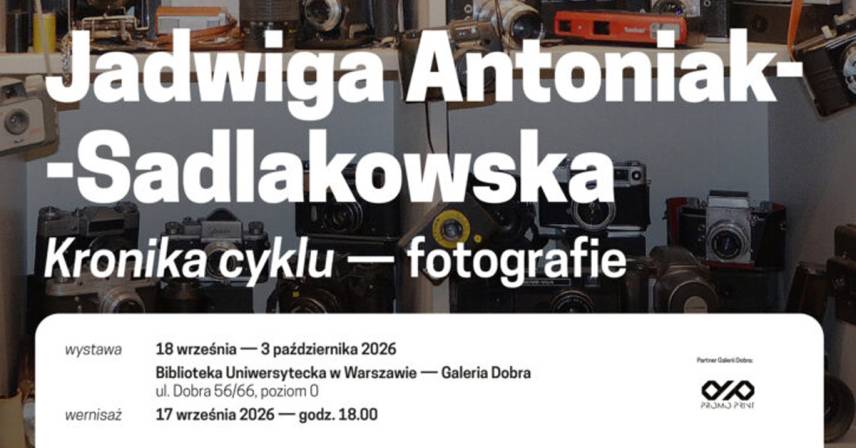 Jadwiga Antoniak-Sadlakowska - Kronika cyklu