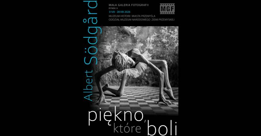 Albert Södgård - Piękno, które boli