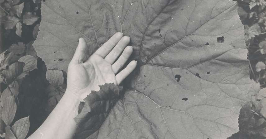 Michal Kern - Poszukiwanie równowagi