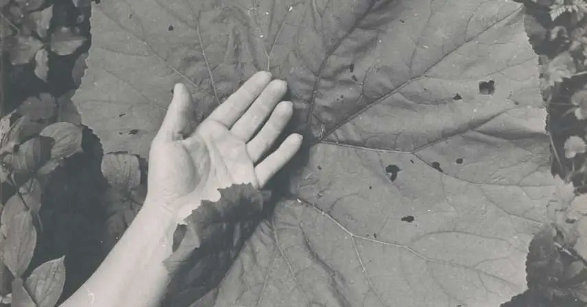 Michal Kern - Poszukiwanie równowagi