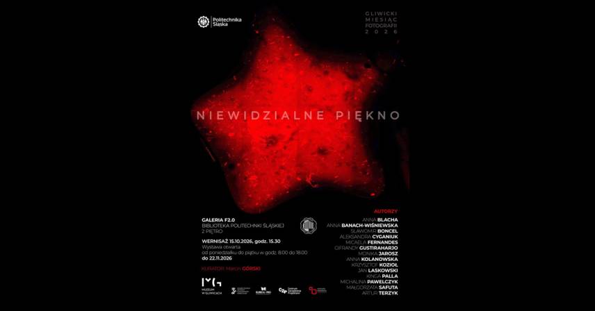 Niewidzialne piękno