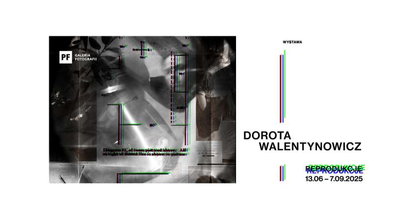 Dorota Walentynowicz - Reprodukcje