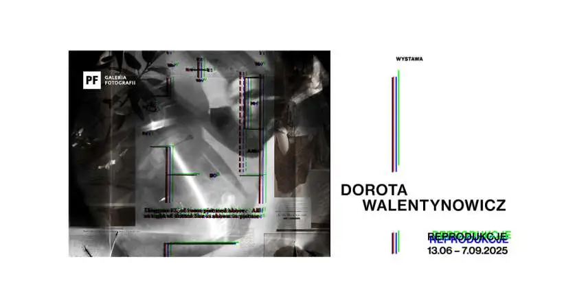 Dorota Walentynowicz - Reprodukcje