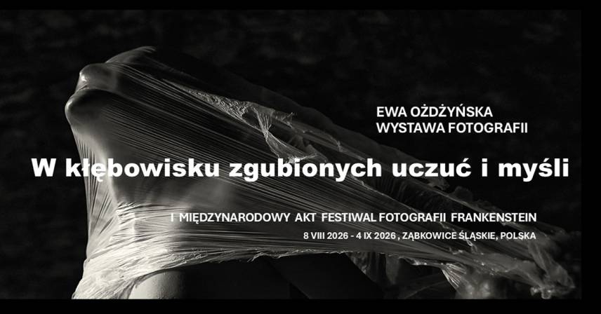 Ewa Ożdżyńska - W kłębowisku zgubionych uczuć i myśli