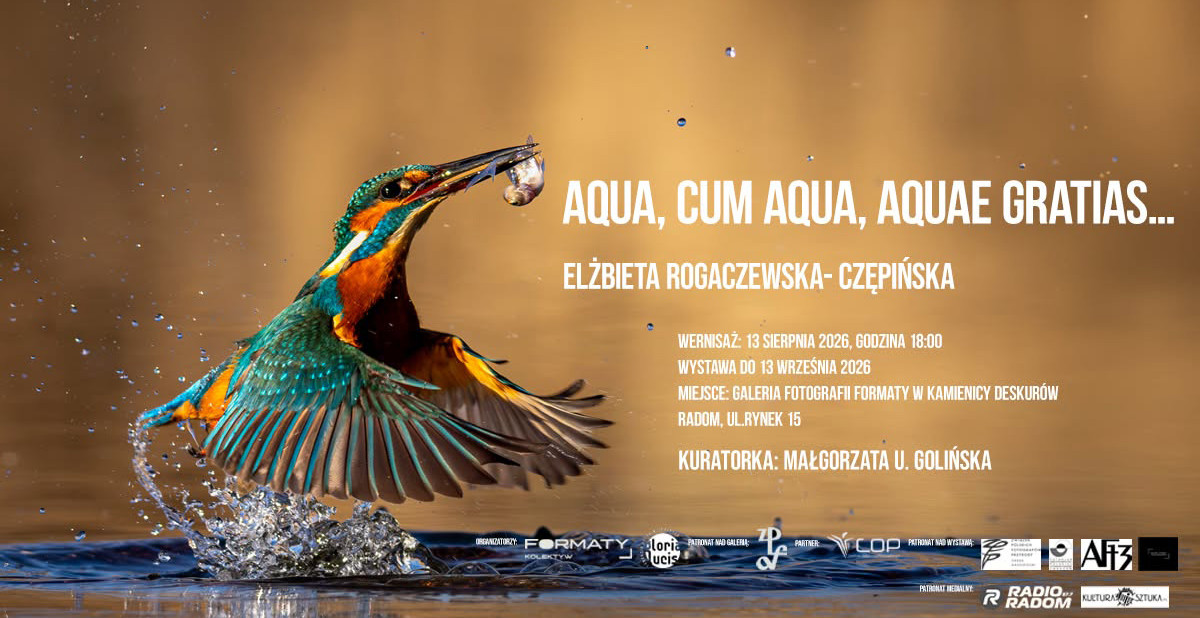 Elżbieta Rogaczewska-Czępińska - Aqua, Cum Aqua, Aquae Gratias…