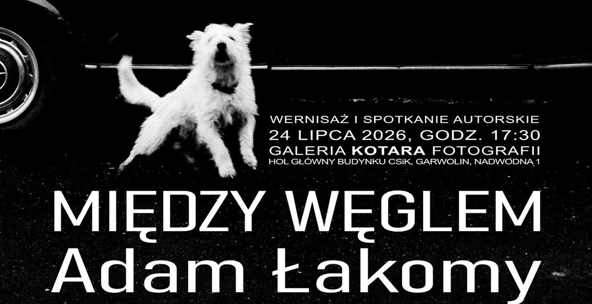 Adam Łakomy - Między węglem
