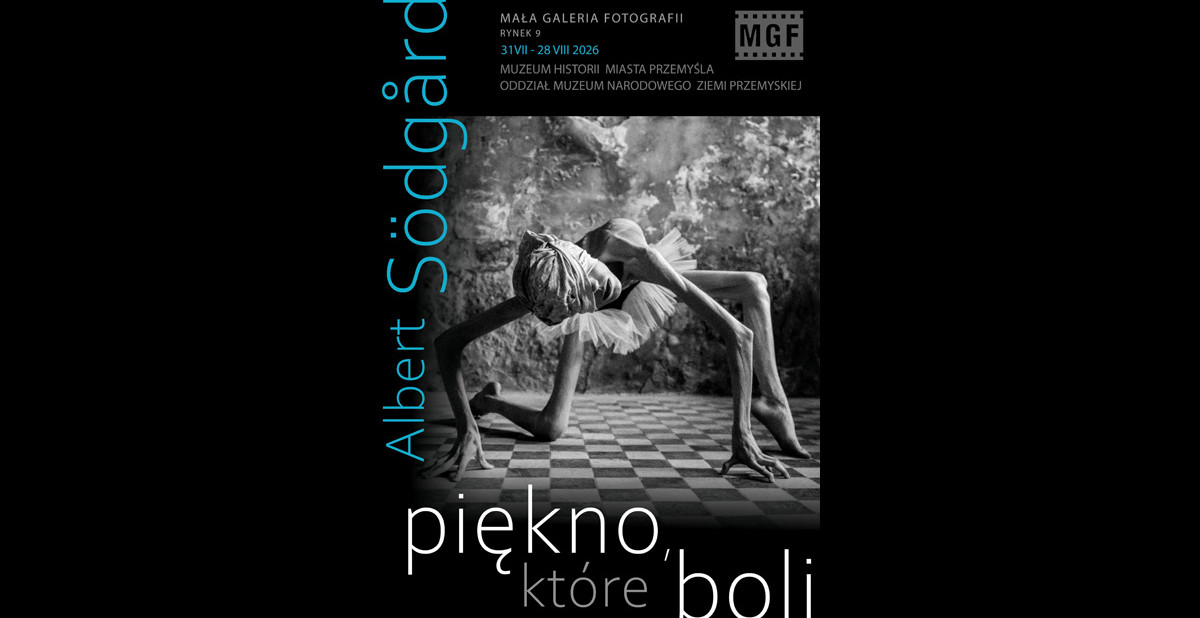 Albert Södgård - Piękno, które boli