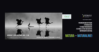 Pokonkursowa wystawa fotograficzna XV Międzynarodowego Festiwalu sztuk Wizualnych Inspirowanych Naturą – Natura – Naturalnie! - wystawa fotografii Galeria Fotografii Migawka Włocławek