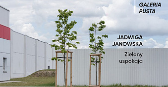 Jadwiga Janowska - Zielony uspokaja - wystawa fotografii Galeria Pusta - Katowice Miasto Ogrodów Katowice