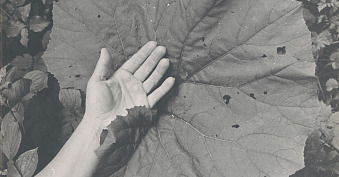 Michal Kern - Poszukiwanie równowagi - wystawa fotografii Galeria Miejska Arsenał Poznań