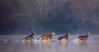 Barwy Świata Przyrody 2026 - Związek Polskich Fotografów Przyrody - Okręg Krakowski - wystawa fotografii Foto Galeria Nowohuckie Centrum Kultury Kraków