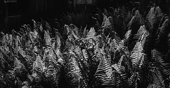 Doroczna Wystawa Okręgu Górskiego ZPAF - wystawa fotografii Galeria Fotografii B&B Bielsko Biała