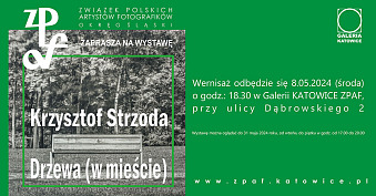 Krzysztof Strzoda - Drzewa (w mieście) - wystawa fotografii Galeria Katowice ZPAF
