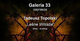 Tadeusz Topolski – Leśne Witraże - wystawa fotografii Galeria 33 Ostrów Wielkopolski