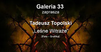 Tadeusz Topolski – Leśne Witraże - wystawa fotografii Galeria 33 Ostrów Wielkopolski