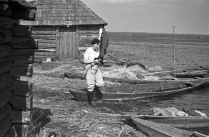 Ja kinuję - Zofia Chomętowska